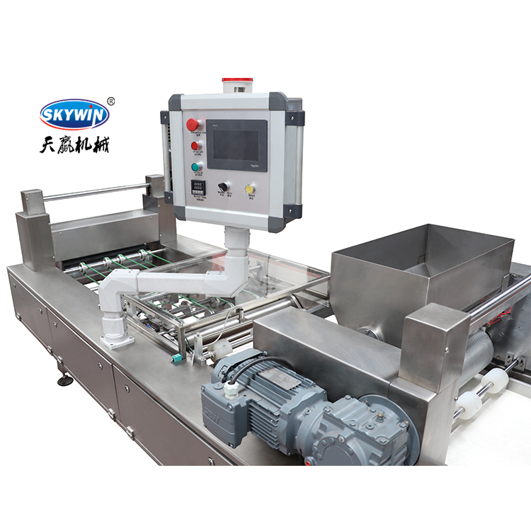 Full Automatic Skywin Chocolate Coated Wafer Biscuit Making Machine