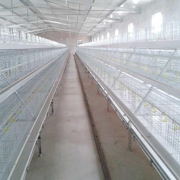 4 Tiers 8 Doors Broiler Chicken Cage Q235 Cold Drawn Wire Welding Large