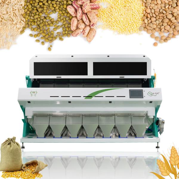 Powerful SEMEN TRICHOSANTHIS Color Sorter Machine Sesame Seeds Color Sorting