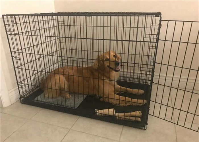 Pink Color Metal Wire Mesh Collapsible Dog Crate Kennel Cage Can Customized