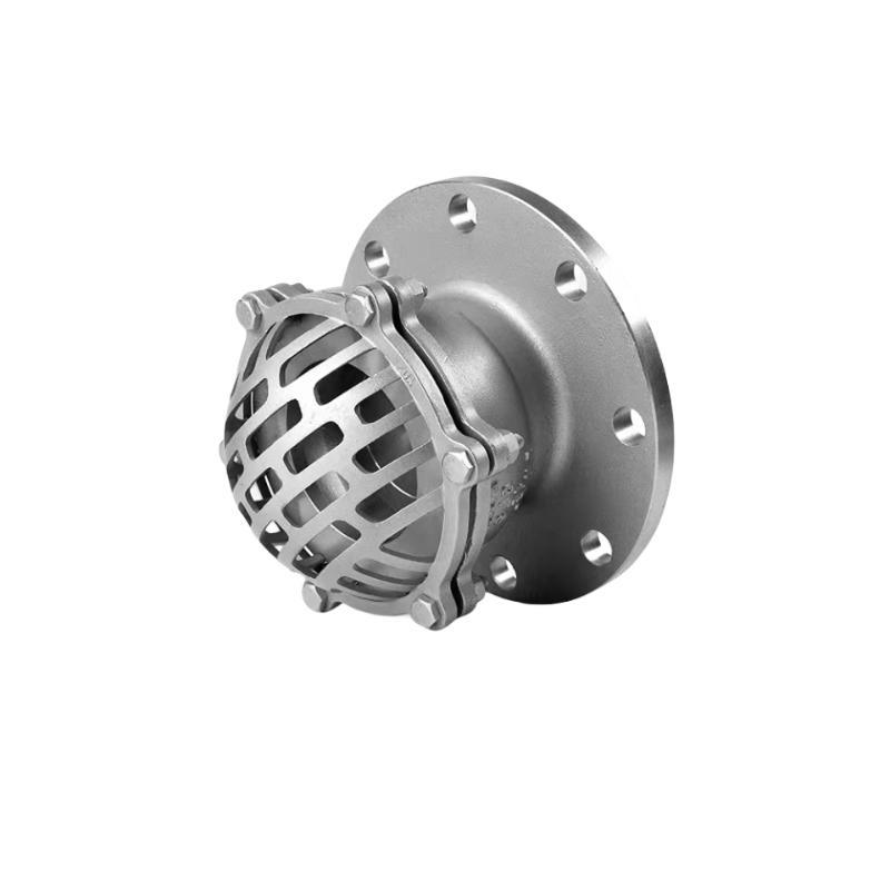 Flange End Check Valve SS304 Foot Valve with Strainer Filter Screen