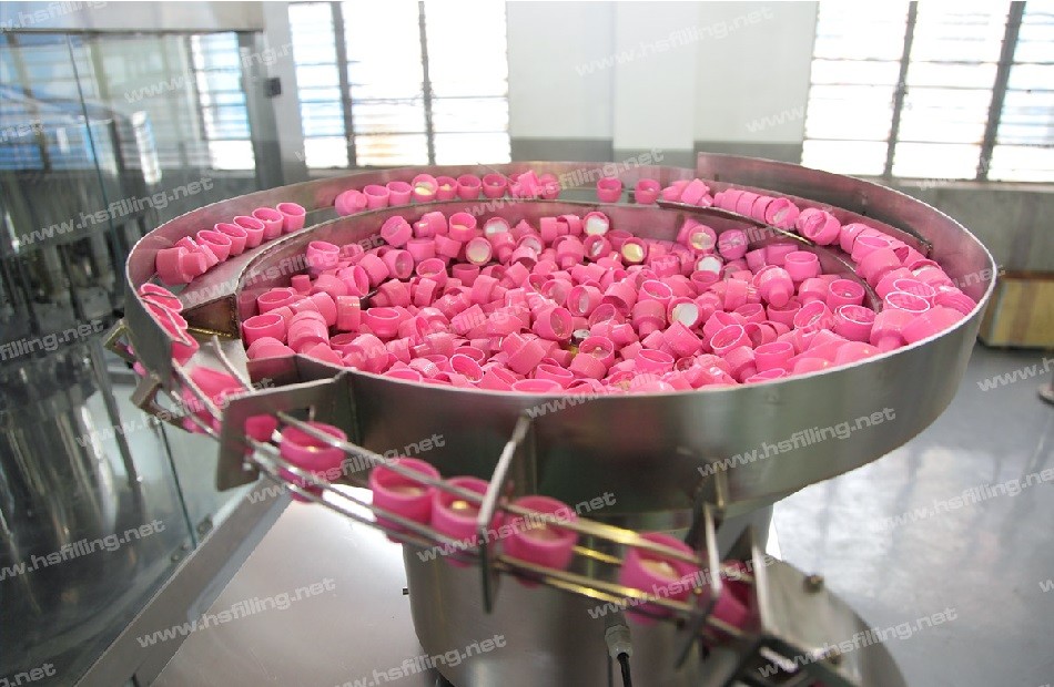 SS304 Automatic Capping Machine