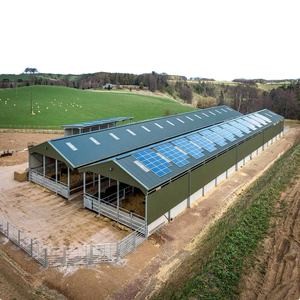 Prefab Steel Poultry Shed Light Structure Q235B Q355B