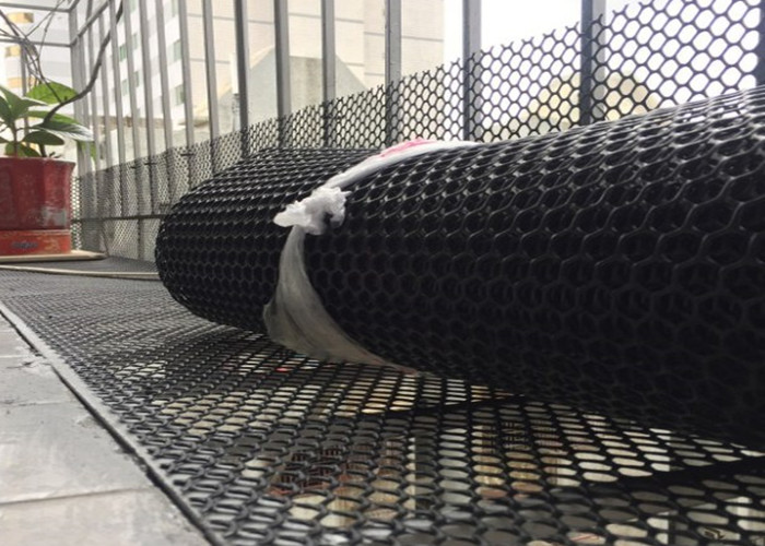 Black Colour Plastic Netting Mesh 20mmx20mm Hole Extruded
