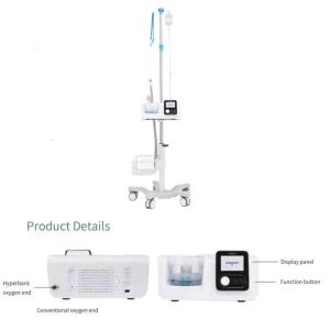 China 10 Liter Oxygen Therapy Devices 9 Alarm Functions Ambient Recovery Choke Alarm on sale