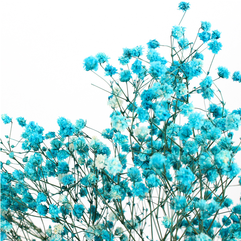 Multicolor Beautiful Dried Flowers Baby'S Breath Wedding Table Decorations