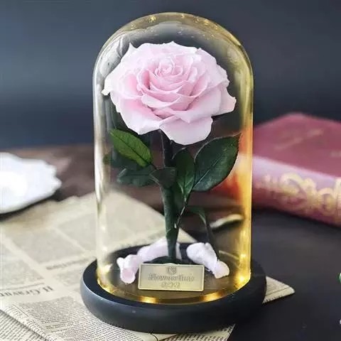 Best Valentines Day Gifts Multiple Colours Preserved Everlasting Real Rose Flower in Glass Dome