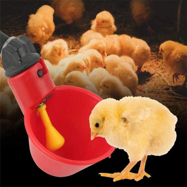 Chicken Hen Livestock Poultry Water Drinking Cups Anti Aging