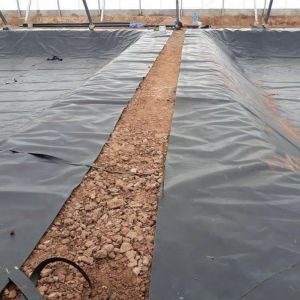 Professional Solution Fish Pond Liner HDPE Waterproofing Membrane for 3D Model