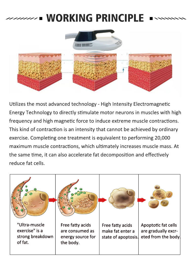 Advanced 10D Lipo Laser Slimming Machine with 532nm Green Light and 635nm Red Light for Body Shaping and Fat Loss