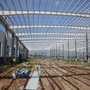Custom Steel Frame Factory Warehouse Q355B Structure