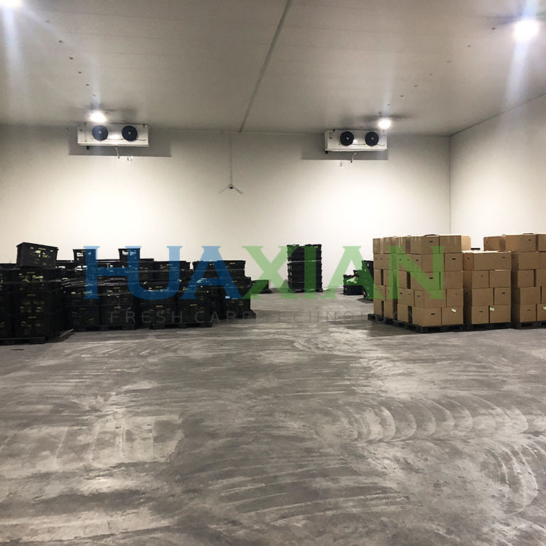 China Sale Commercial Refrigeration and Freezing Walk in Cooler Freezer Cold Room