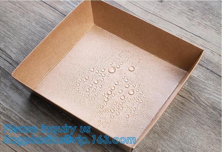 Meal Prep Containers Free Sample Bento Lunch Box Biodegradable Food Container Plastic Wheat Straw Lunch Box bagplastics