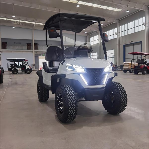 2 Seater Electric Golf Cart Optional Lithium Battery Mini Durable Electric Golf Buggy