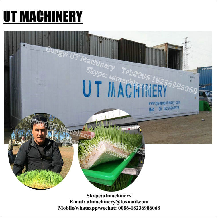 64pcx Sprout Box Bumper Shipping Container LED Grow Light for Poultry Feed Production