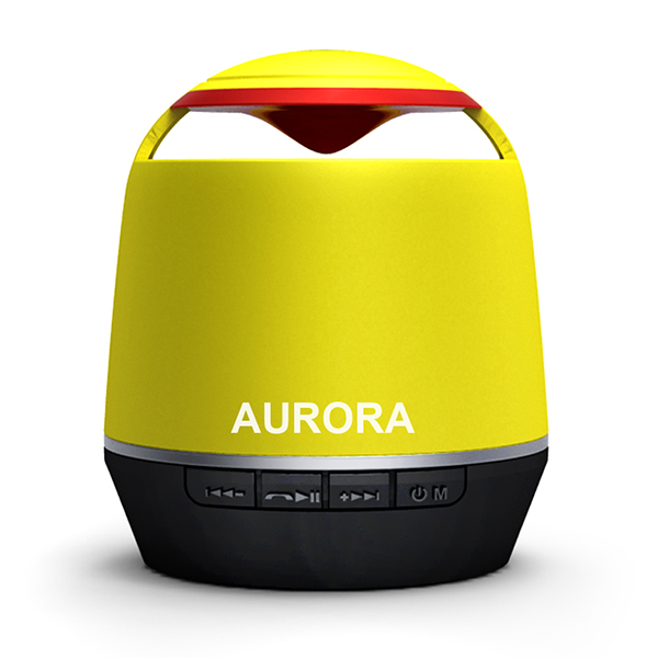 Professional Full Range Active Bluetooth Amplified Speaker