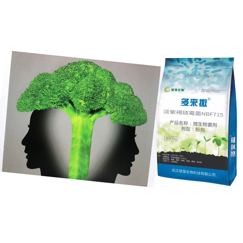 Duolaisa Streptomyces NBF715 biotechnology Biological Fertilizer Kill Soil Nematodes And Eggs