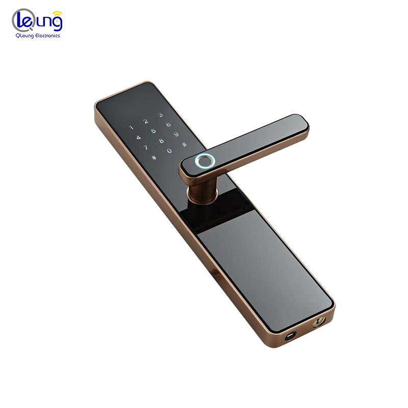 Wifi Biometric Fingerprint Passcode Key IC Card Digital Door Lock for Home Security