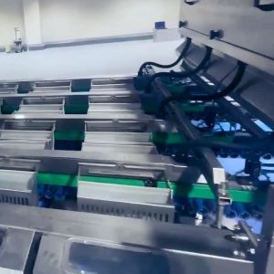 Date Sorting Machine Powered By Deep Learning Technology High Accuracy 8 Lanes 8