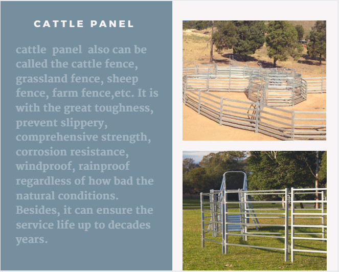 From Budget Cattle Panels To Extra Heavy Duty Portable Corral Panels For Cattle