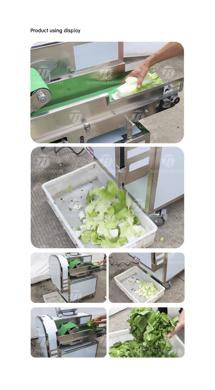 180KG Vegetable slicer large widening conveyor belt vegetable slicer cucumber lemon leaves cut into sections