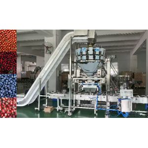  SUS304 Multihead Weigher Auto Weighing And Packaging System For Cherry Frozen Fruits In Boxes Manufactures