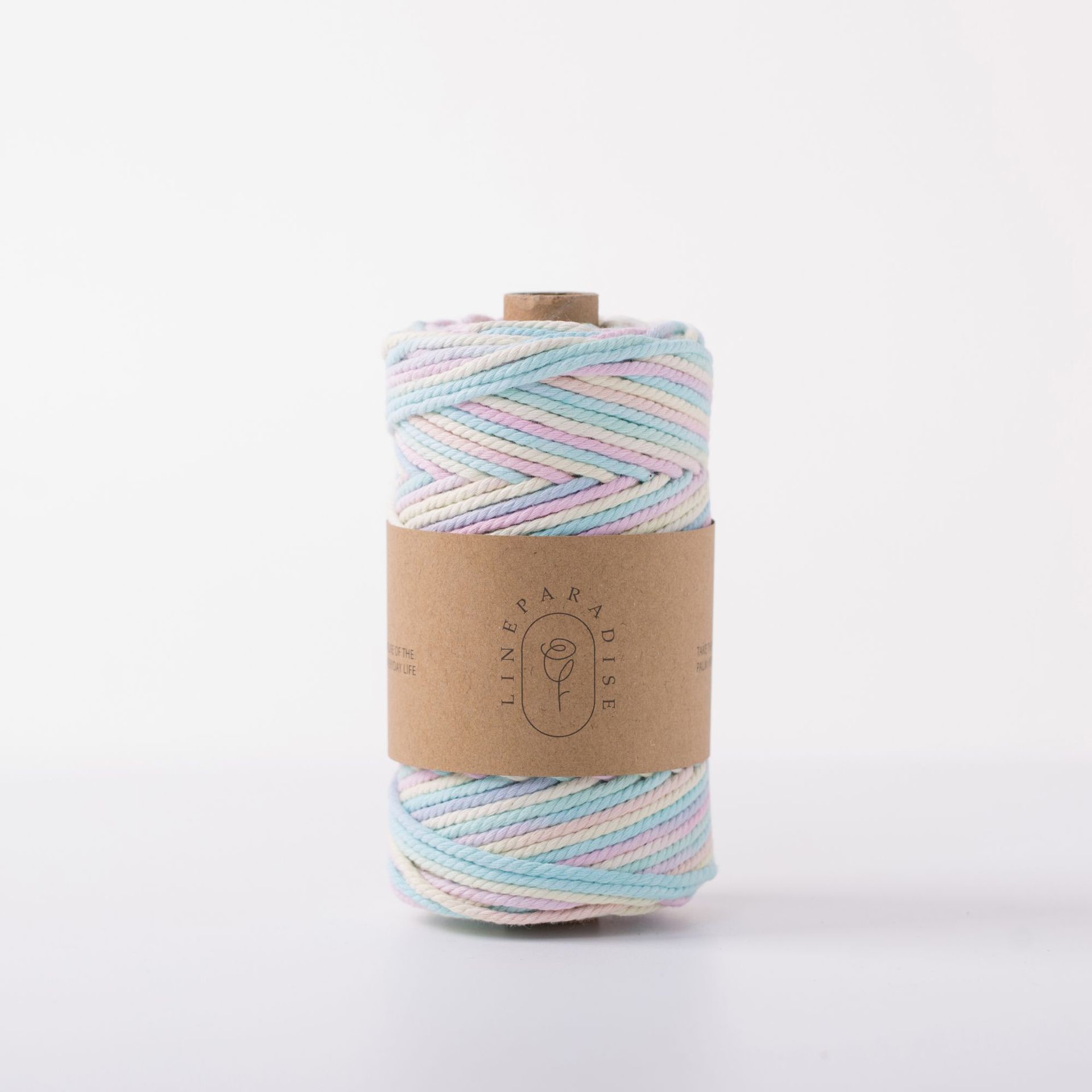 ISO9001 Solid Braid Cotton Rope Colorful 3mm Twisted Macrame Cord