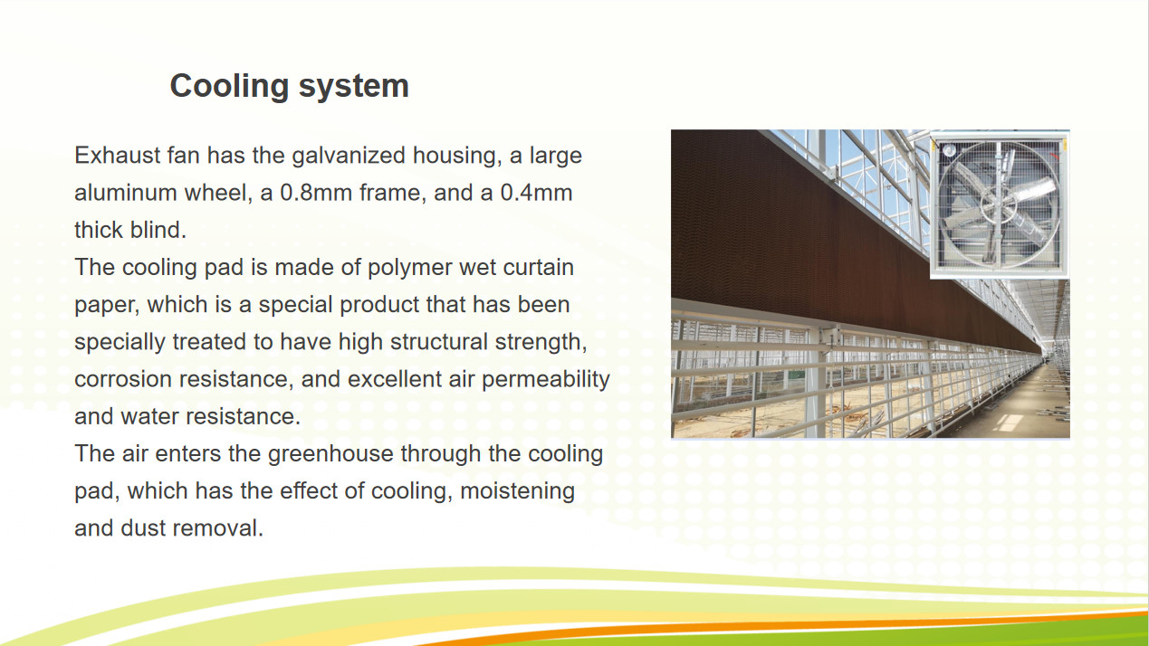 Venlo Greenhouse Commercial Polycarbonate Glass Greenhouse For Seeds Vegetables Hydroponic Tomato