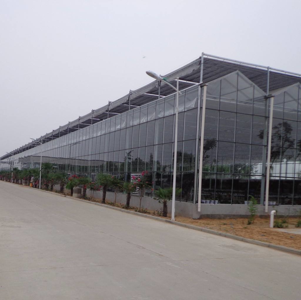 Exhibition Commercial Outdoor Greenhouse , Flower Growing Large Green Houses