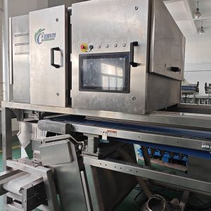 Advanced Industrial Sorting System with Imaging Spectroscopy Technology for