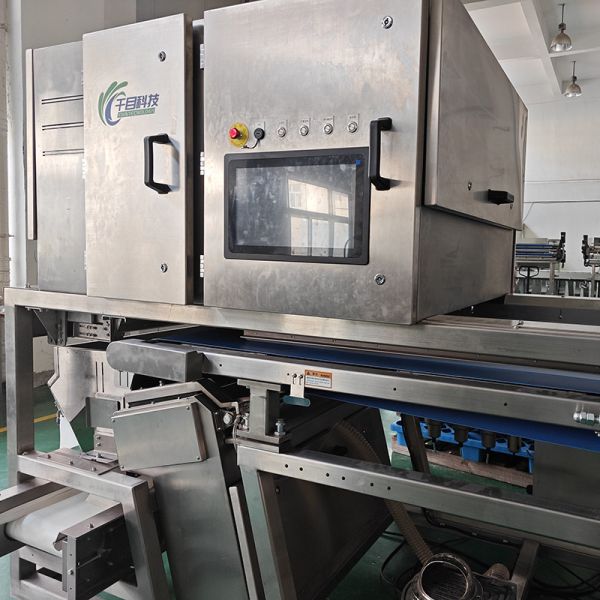 Advanced Industrial Sorting System with Imaging Spectroscopy Technology for