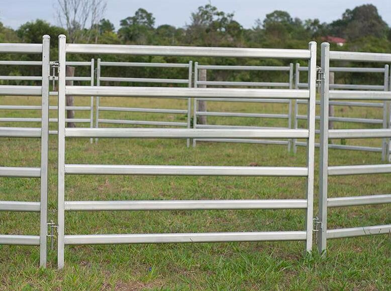 1.8mx2.1m oval cattle yard fencing
