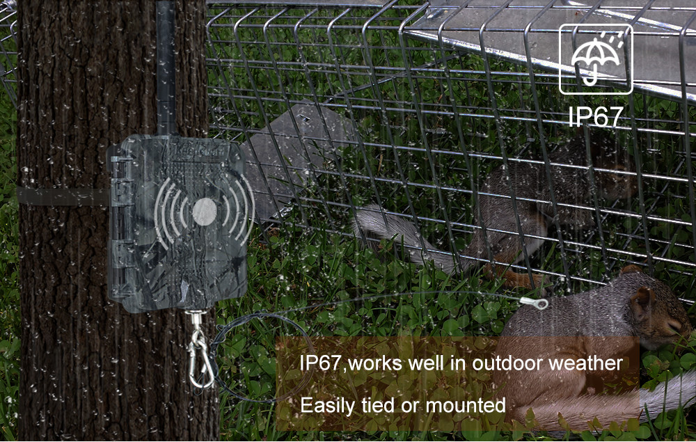 Hidden CAMO Color ABS Wildlife Trap Alarm FCC For Forest Farm