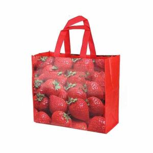 China Cheap Tote Bags Custom Printed Recyclable Fabric Non Woven Shopping Bags With Logo Custom Reusable Shopping Bags on sale