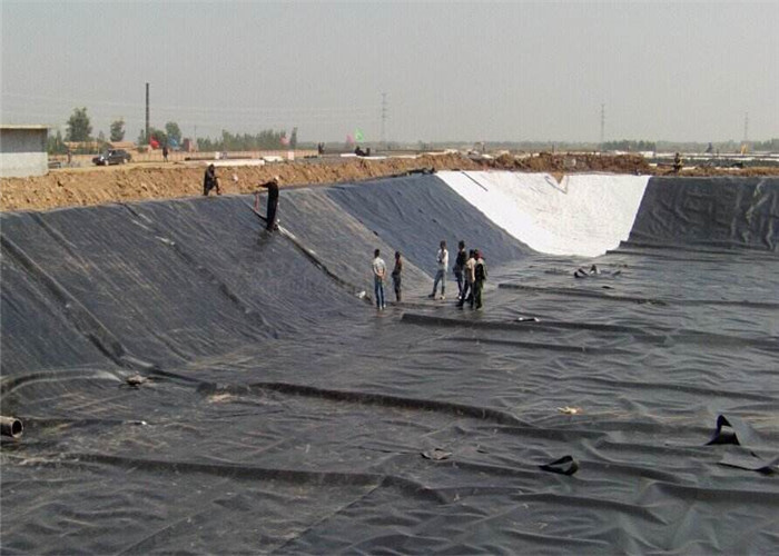 0.2mm Hdpe Polyethylene Geomembrane Sheet For Pond Liner And Landfill