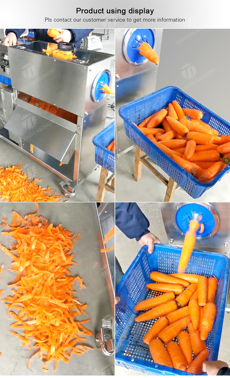 Corrat peeling machine Carrot processing production Destoning Supplying Peeling & polishing