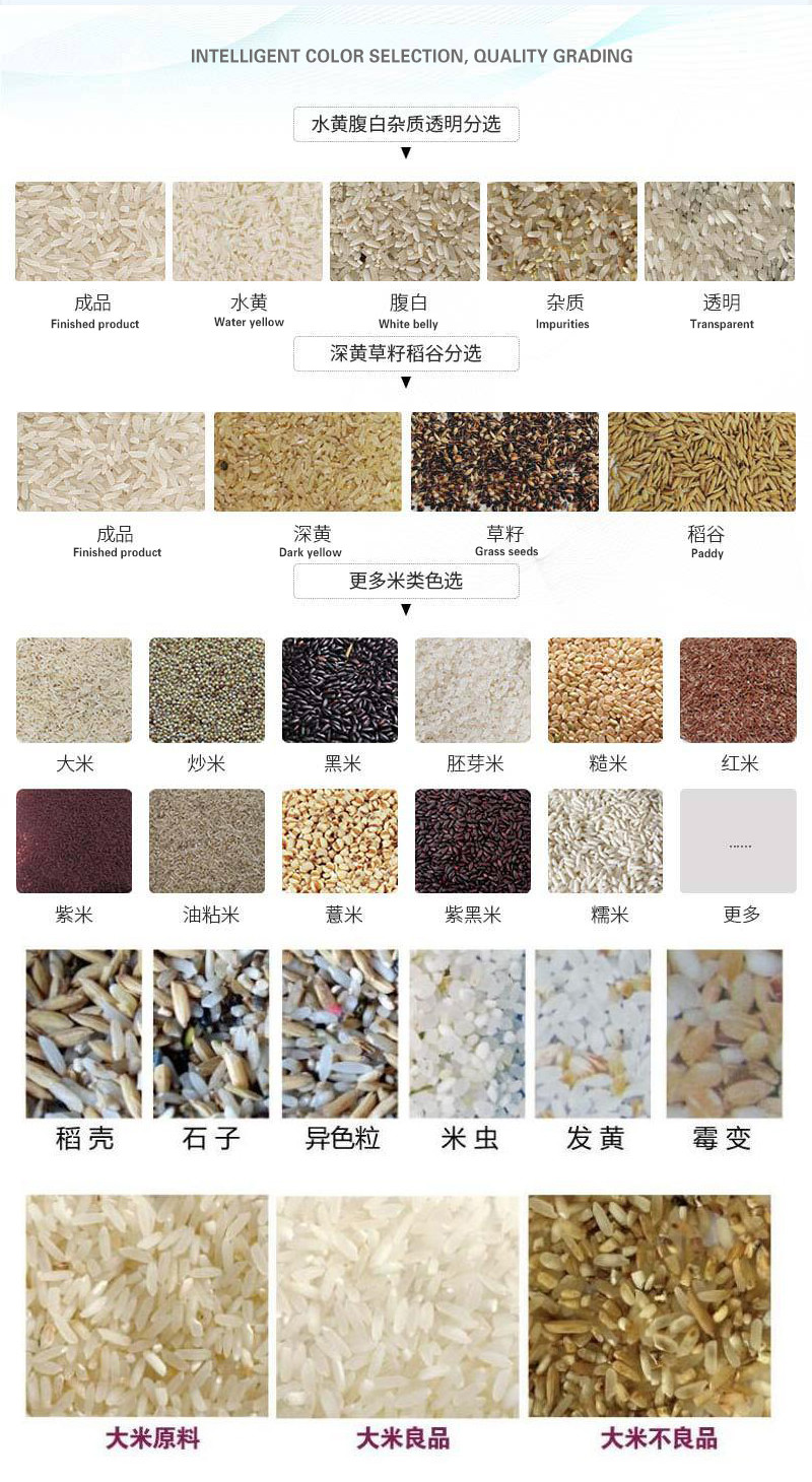 7 Chutes Rice Machine Full Setup Grain Color Sorter 110V
