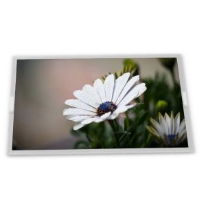  High Resolution 8.4-Inch New and good WLED LCD Display Module 1024*768 ODM AA084XA03 Modules Manufactures