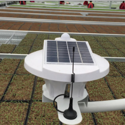 Three In One Soil Moisture Sensor Greenhouse Temperature And Humidity Monitor