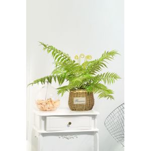 Mini Artificial Fern Plants For Architectural Landscaping