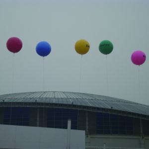 Custom Promotion Inflatable Balloon Advertising Inflatable Balloon Custom