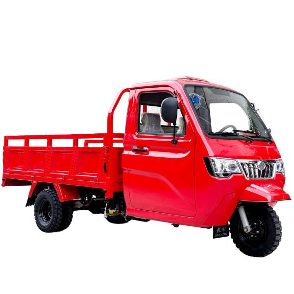 Grade 250cc Farm Lifan Super Powerful Tricycle Cargo with Big Space and Enclosed