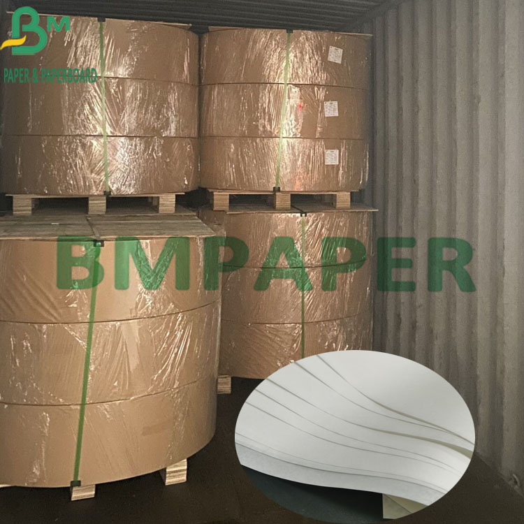 48g Thermal Printer Paper BPA Free Cash Register POS Receipt Paper Roll