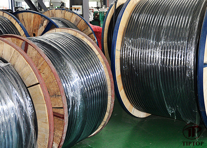 Polymer Jacket Encapsulated Control Line Tubing Extra Protection