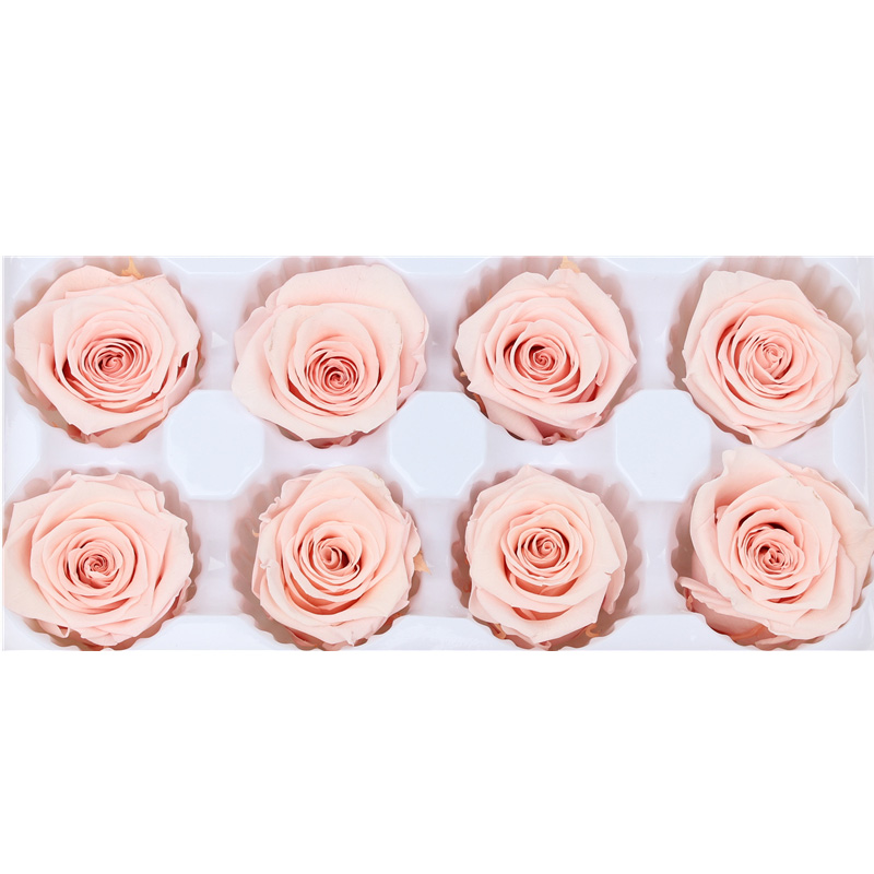 Pliability Maintaining Preserved Rose Heads Excellent Flowers Eternity