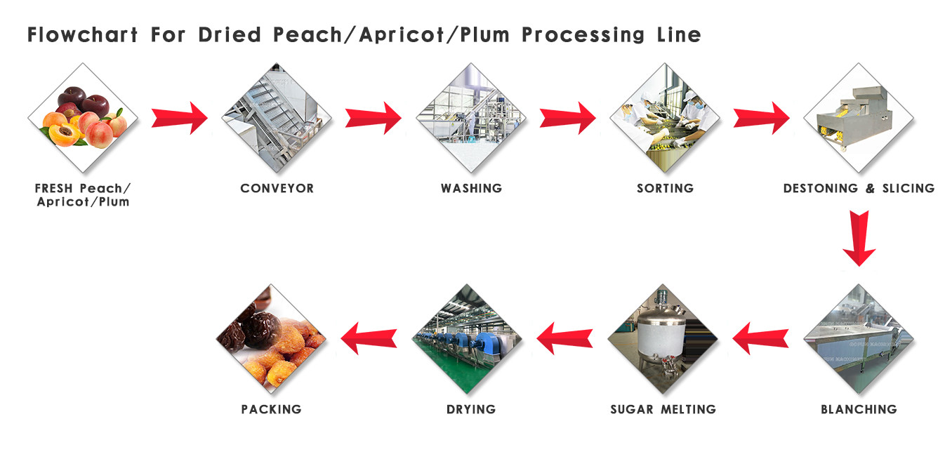 Durable Dried Fruit Processing Plant Dried Fruit Dehydrator Customized Voltage