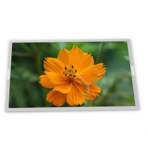 Customizable 19.0-Inch WLED LCD Display Module with 1280*1024 Resolution ODM G190EG02 V0 Modules Good Quality Product