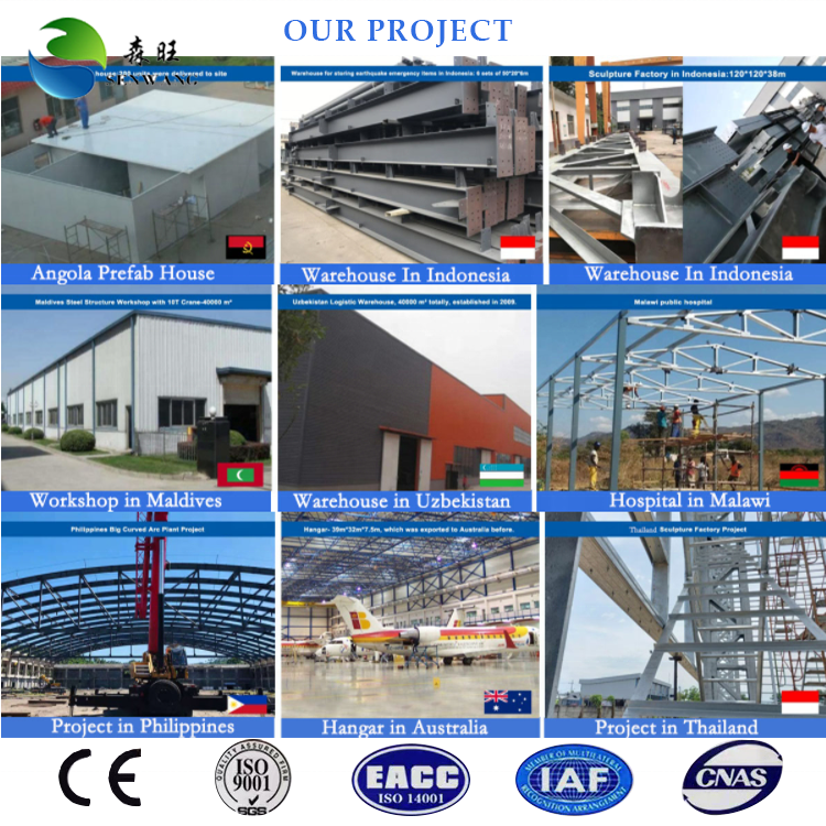 Dome Grid Steel Structure Truss