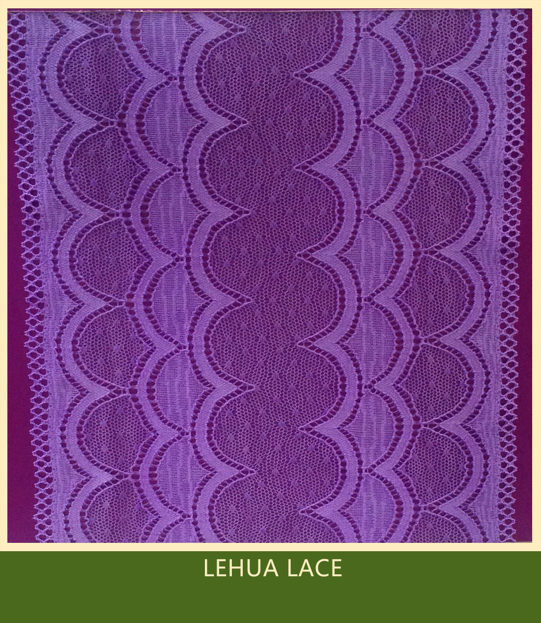 Hot Selling and nice quality Nylon Spandex Stretchy Brazil Lace from China