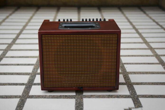 Custom Grand 60watt Acoustic Guitar Combo Amplifier with Effects in Black Color Ger Compact T60 Style